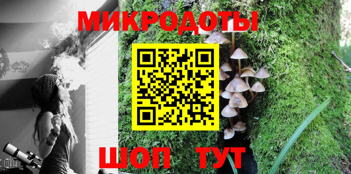 Галлюциногенные грибы Psilocybine cubensis Новошахтинск